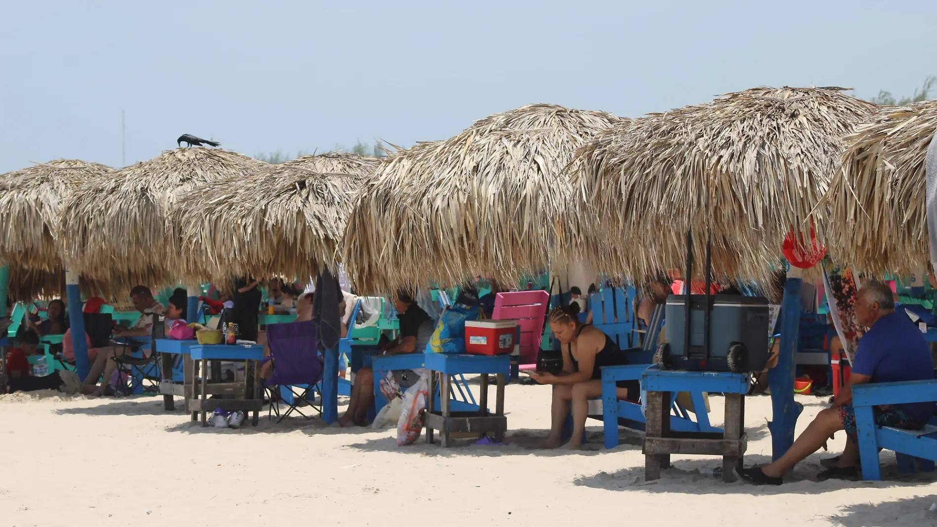 Playa Miramar recibe nutrido número de visitantes durante esta temporada vacacional 